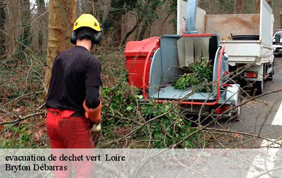 evacuation de dechet vert  42 Loire  Bryton Débarras-1