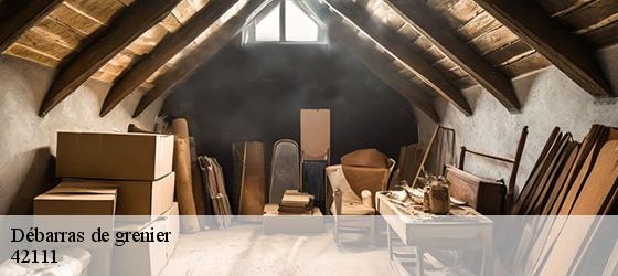 Débarras de grenier  la-cote-en-couzan-42111 Bryton Débarras-2