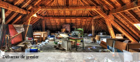 Débarras de grenier  pommiers-42260 Bryton Débarras-3