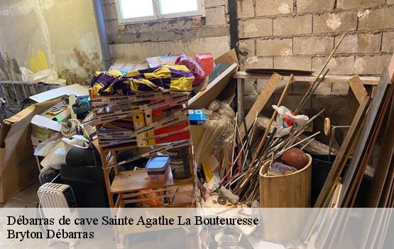 Débarras de cave  sainte-agathe-la-bouteuresse-42130 Bryton Débarras-1