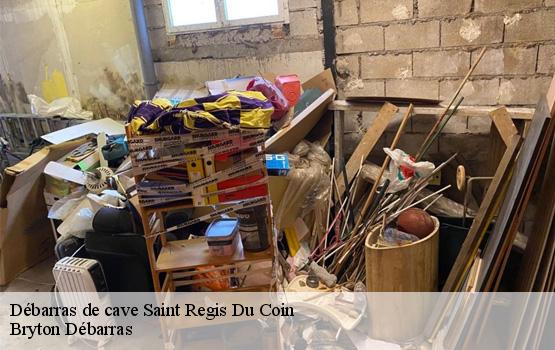 Débarras de cave  saint-regis-du-coin-42660 Bryton Débarras-1