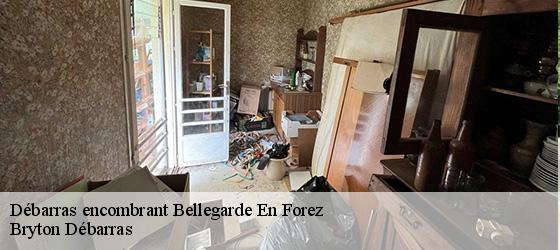 Débarras encombrant  bellegarde-en-forez-42210 Bryton Débarras-4