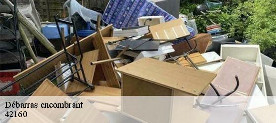 Débarras encombrant  saint-cyprien-42160 Bryton Débarras-5