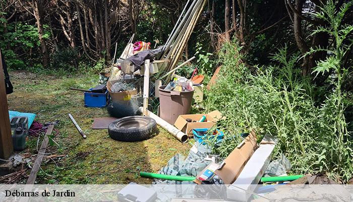 Débarras de Jardin  verin-42410 Bryton Débarras-6