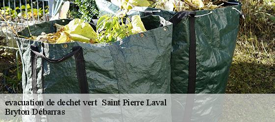 evacuation de dechet vert   saint-pierre-laval-42620 Bryton Débarras-4