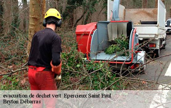 evacuation de dechet vert   epercieux-saint-paul-42110 Bryton Débarras-1