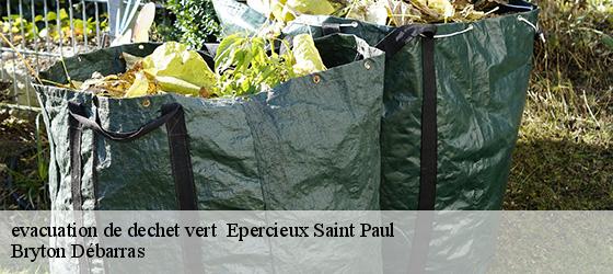 evacuation de dechet vert   epercieux-saint-paul-42110 Bryton Débarras-4