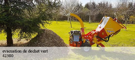 evacuation de dechet vert   luriecq-42380 Bryton Débarras-2