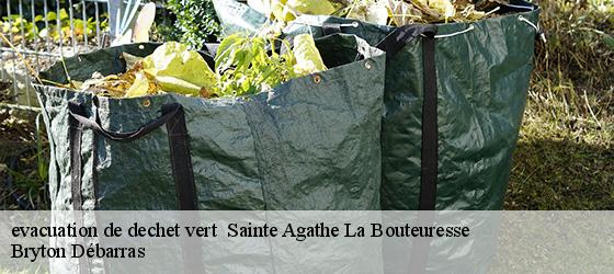 evacuation de dechet vert   sainte-agathe-la-bouteuresse-42130 Bryton Débarras-4