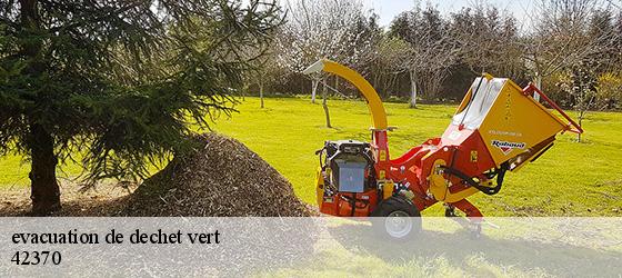 evacuation de dechet vert   saint-andre-d-apchon-42370 Bryton Débarras-2