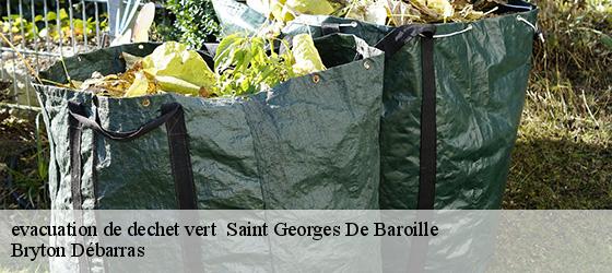 evacuation de dechet vert   saint-georges-de-baroille-42510 Bryton Débarras-4