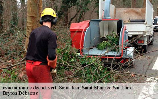 evacuation de dechet vert   saint-jean-saint-maurice-sur-loire-42155 Bryton Débarras-1