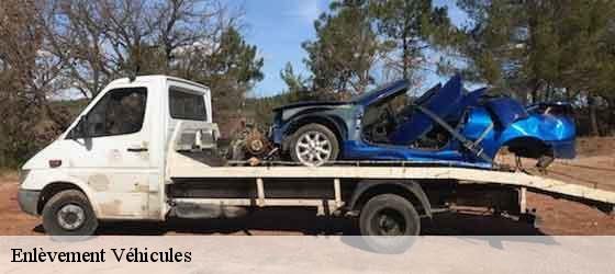 Enlèvement Véhicules  dargoire-42800 Bryton Débarras-3