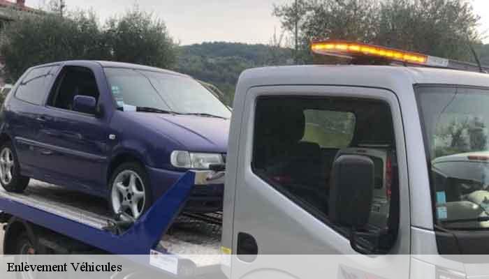 Enlèvement Véhicules  saint-maurice-sur-loire-42155 Bryton Débarras-6