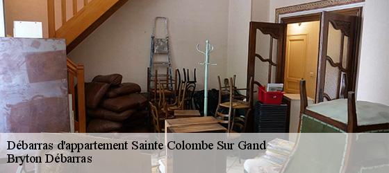 Débarras d'appartement  sainte-colombe-sur-gand-42540 Bryton Débarras-4