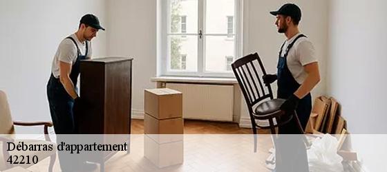 Débarras d'appartement  saint-cyr-les-vignes-42210 Bryton Débarras-5