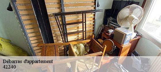 Débarras d'appartement  saint-paul-en-cornillon-42240 Bryton Débarras-2