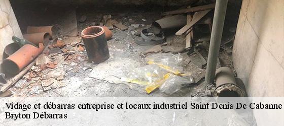 Vidage et débarras entreprise et locaux industriel  saint-denis-de-cabanne-42750 Bryton Débarras-4