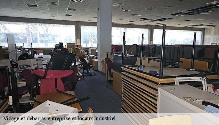 Vidage et débarras entreprise et locaux industriel  urbise-42310 Bryton Débarras-6